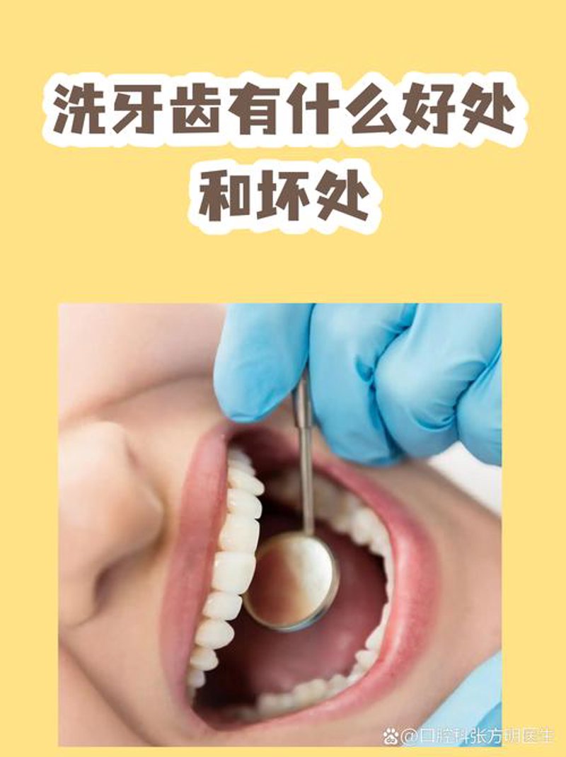 探寻芦淞区的口腔健康秘籍